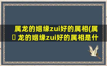 属龙的姻缘zui
好的属相(属 ☘ 龙的姻缘zui
好的属相是什么)